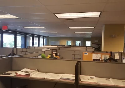 Professional Moving Company 12