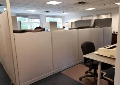 Professional Moving Company 9